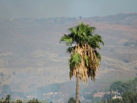 Fire_in_South_Corona