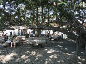 Lahaina-and-Reefdancer