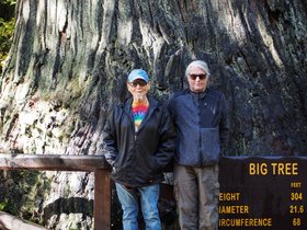 Oregon_Coast_and_Redwoods