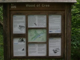 Wood-of-Cree